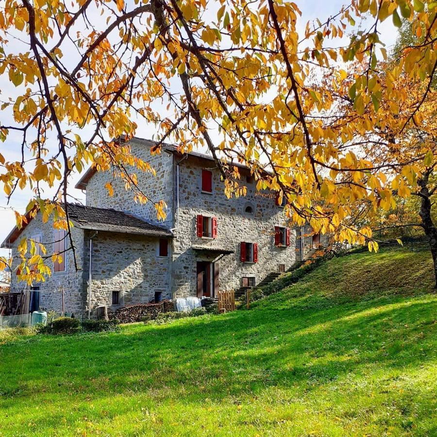 بوريتا تيرمي Ca Gennara Agri B&B المظهر الخارجي الصورة