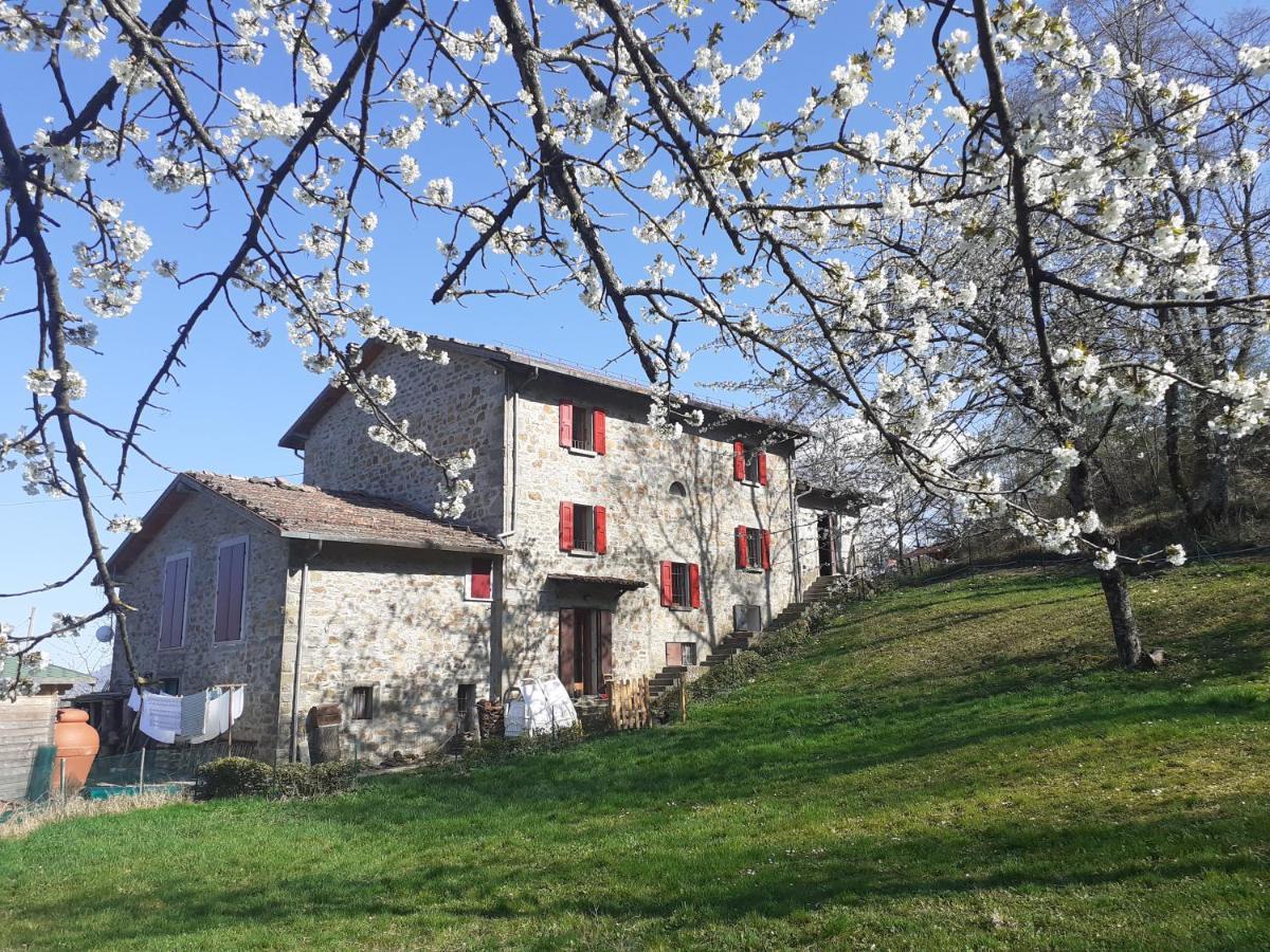 بوريتا تيرمي Ca Gennara Agri B&B المظهر الخارجي الصورة