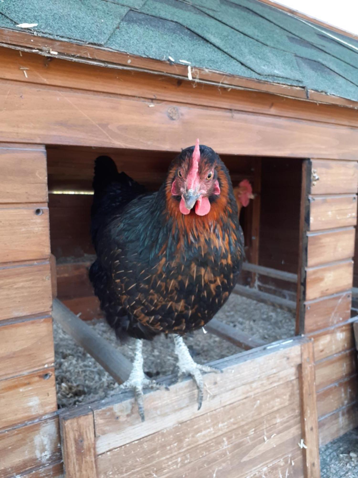 بوريتا تيرمي Ca Gennara Agri B&B المظهر الخارجي الصورة