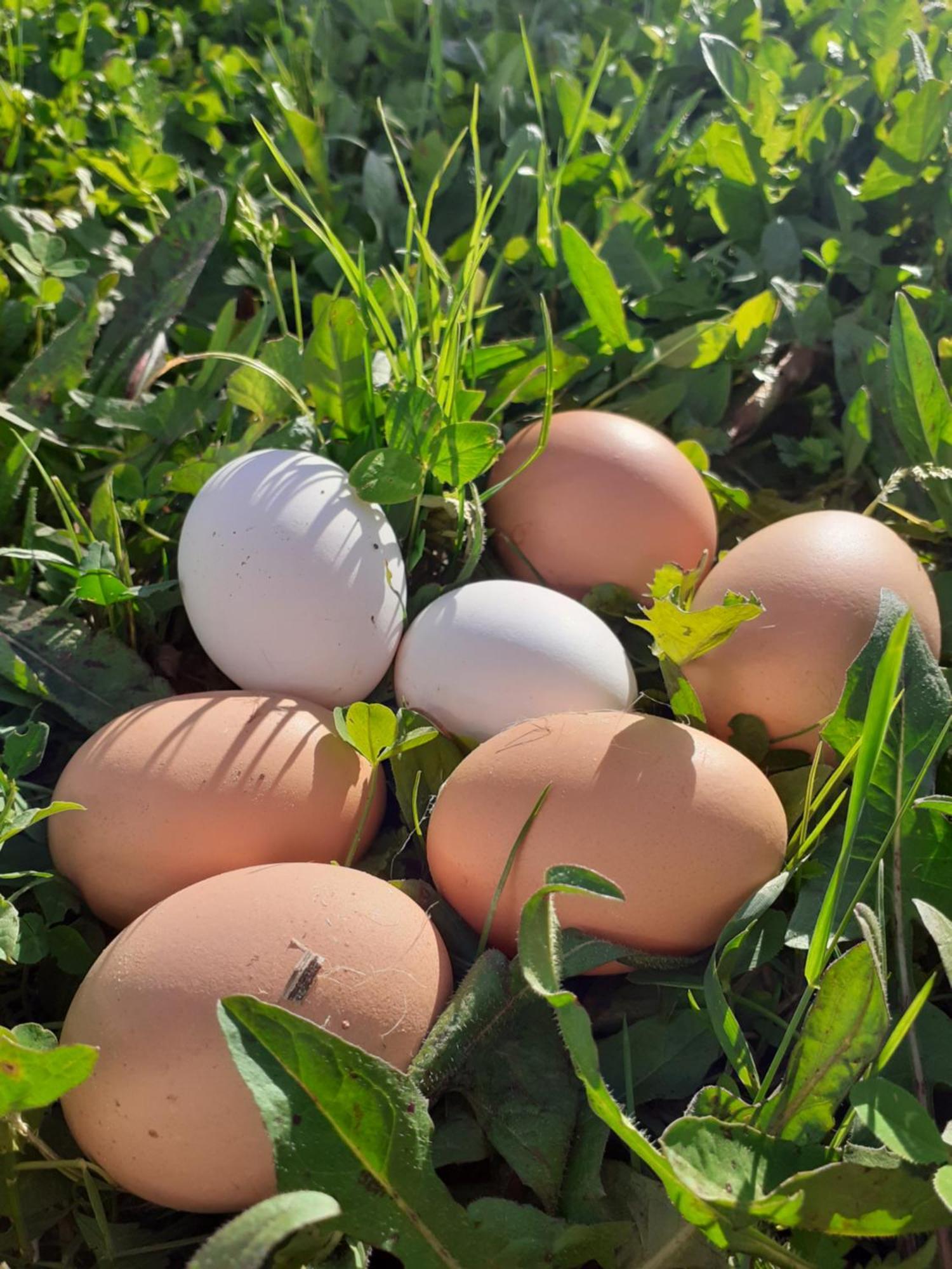 بوريتا تيرمي Ca Gennara Agri B&B المظهر الخارجي الصورة
